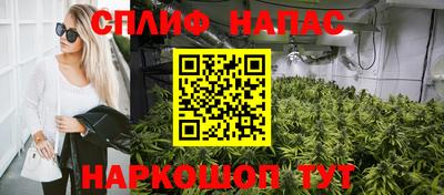амф Кимры