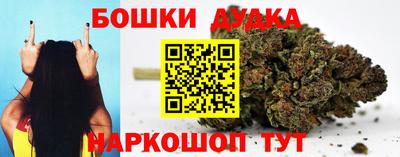 2c-b Кингисепп