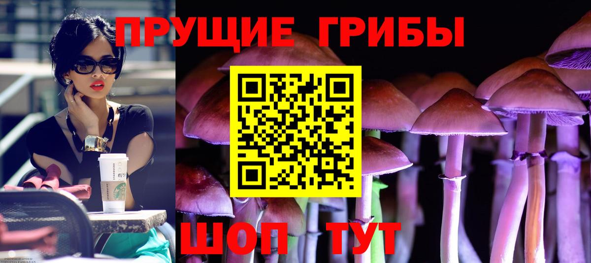 Галлюциногенные грибы Magic Shrooms Красноярск